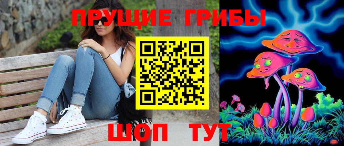 Галлюциногенные грибы Psilocybe Топки